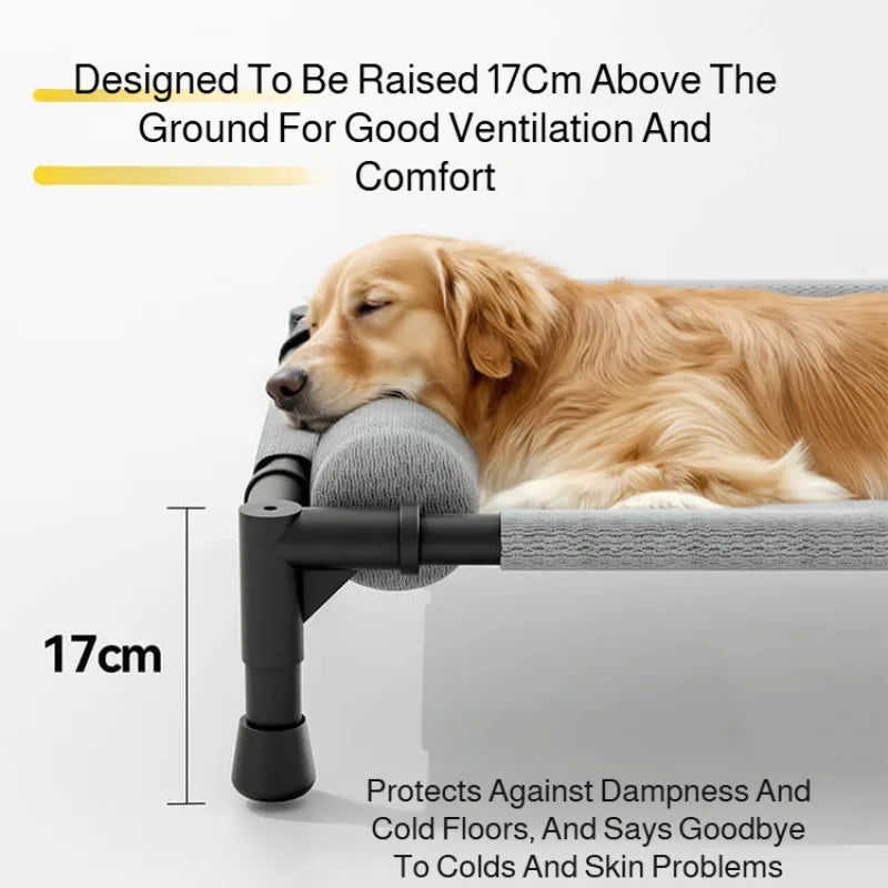 Raised Mesh Medium Large Cat Dog Off-the-ground Pet Bed Removable and Washable Breathable Pet Sofa Moisture-proof with Pillow